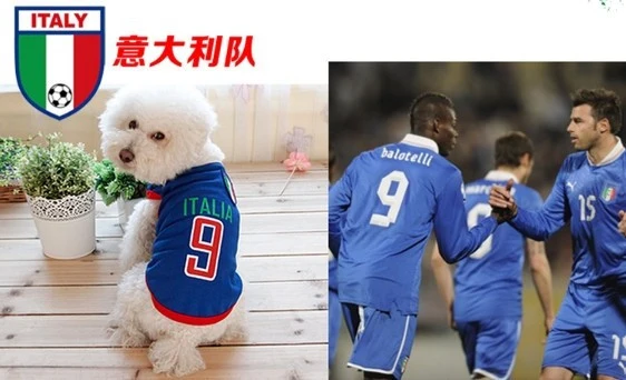 Camisetas del mundial de 8 equipos y 5 tamaños diferentes.
