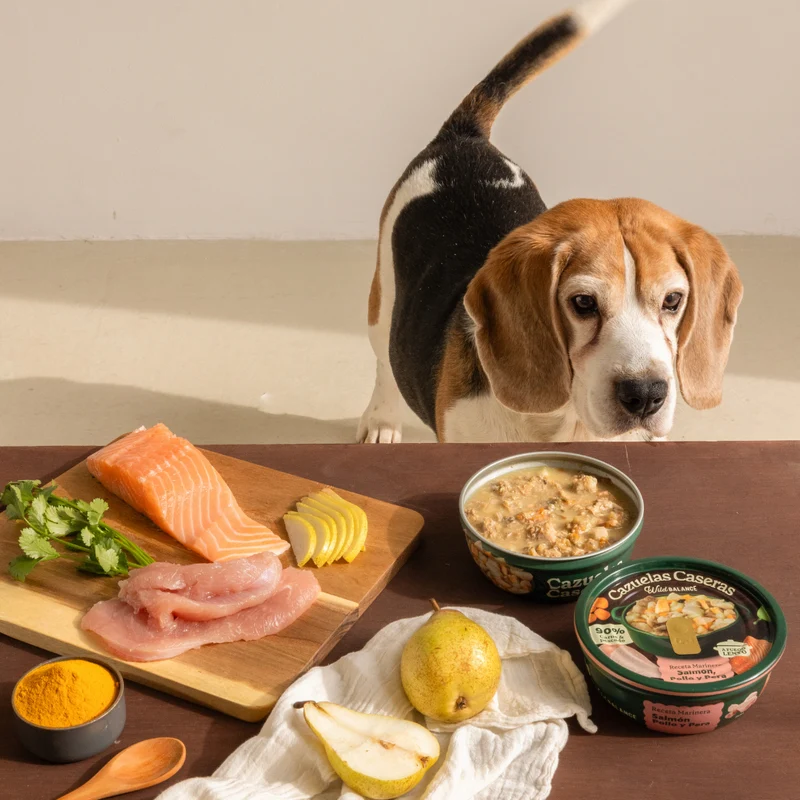 Wild Balance Homemade Stew Casserole Of Salmon, Chicken & Pear Wet Dog Food 280G
