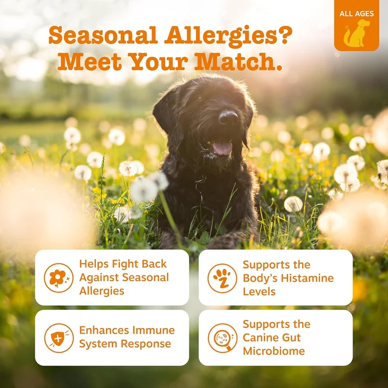 Zesty Paws Allergy & Immune Bites Soft Chews Lamb Flavor For Dogs 90pcs