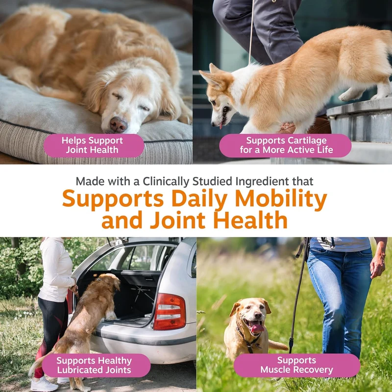 Zesty Paws Hip & Joint Mobility Bites Soft Chews Duck Flavor For Dogs 90pcs