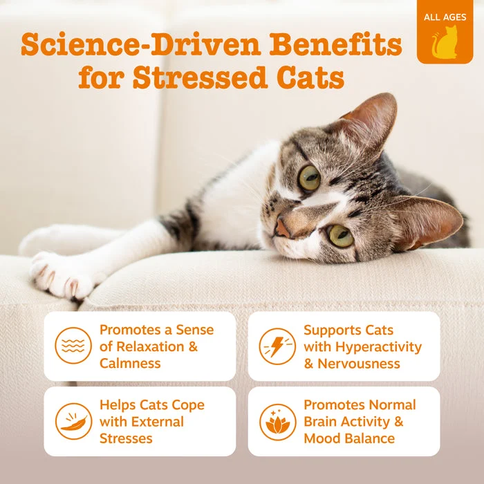 Zesty Paws Cat Calming Bites Soft Chews Bacon Flavor For Cats 60pcs