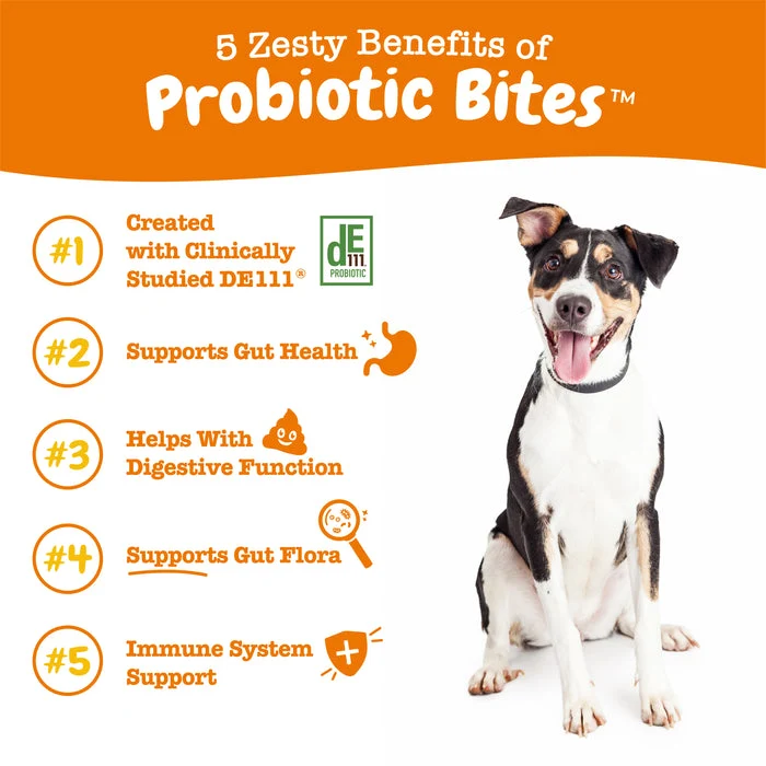 Zesty Paws Probiotic Bites Soft Chews Pumpkin Flavor For Dogs 90pcs