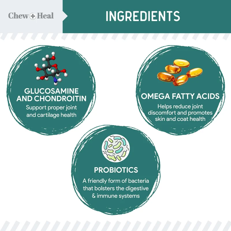 Chew + Heal 12-In-1 Essential Daily Multivitamin Soft Chews For Dogs 120 Chews