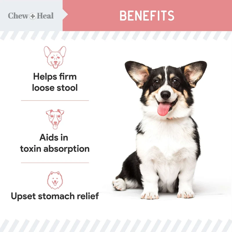 Chew + Heal Stop The Diarrhea For Dogs 2FLOZ