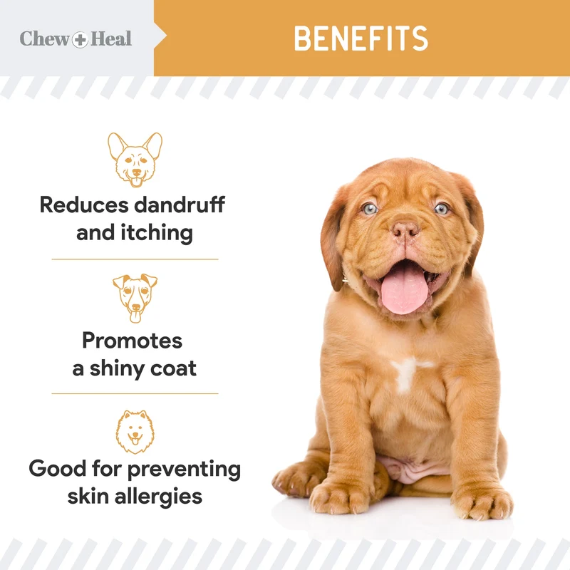 Chew + Heal Omega Skin + Coat Soft Chews For Dogs and Cats 60 Chews