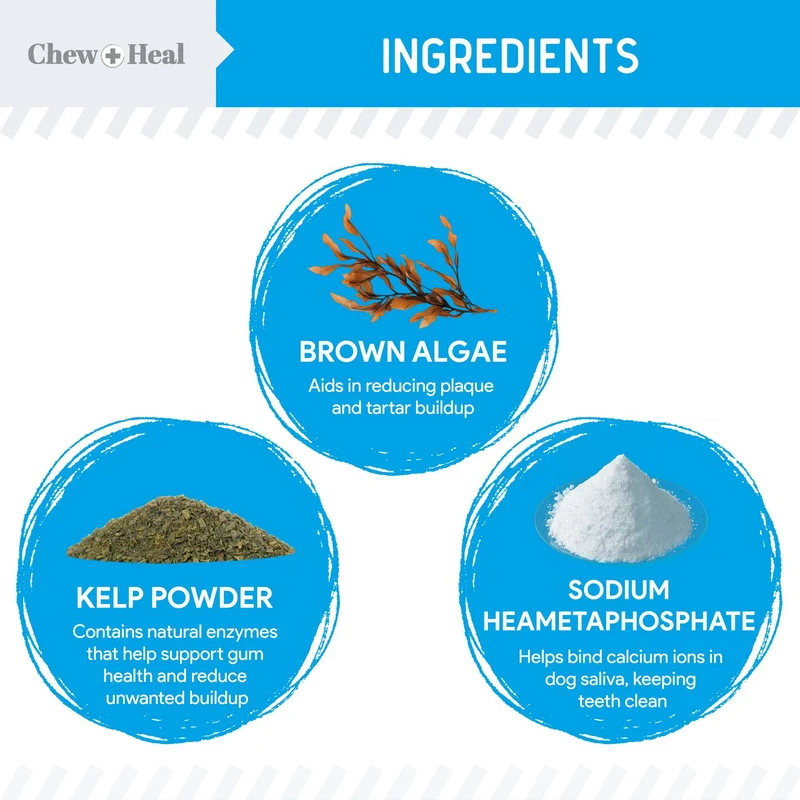 Chew + Heal Advanced Dental Support Powder For Dogs 4OZ