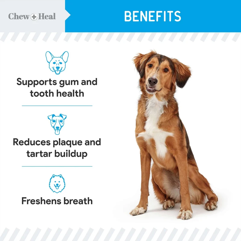 Chew + Heal Advanced Dental Support Powder For Dogs 4OZ