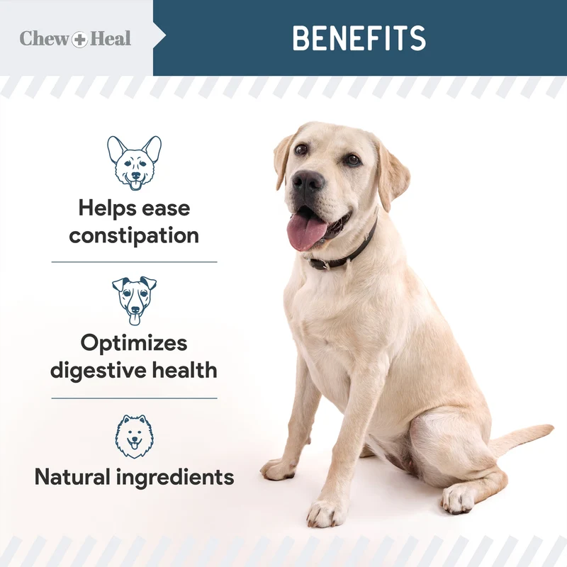 Chew + Heal Digestive Enzymes Soft Chews For Dogs 120 Chews