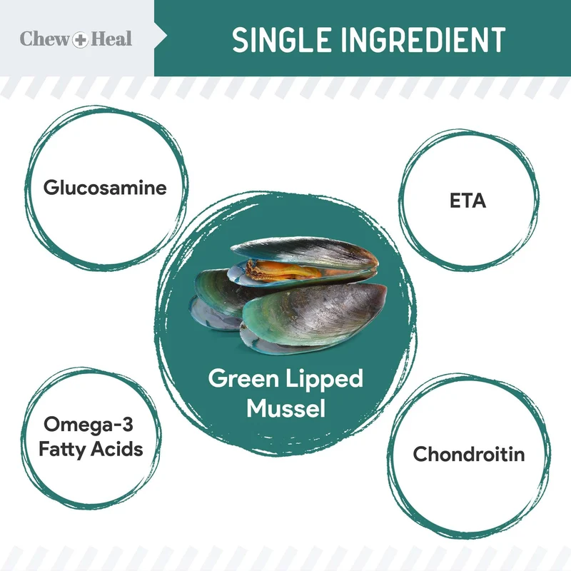 Chew + Heal Green Lipped Mussel Powder Joints & Ligament Support For Dogs 2.12OZ