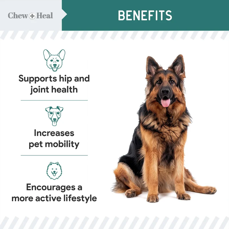 Chew + Heal Green Lipped Mussel Powder Joints & Ligament Support For Dogs 2.12OZ