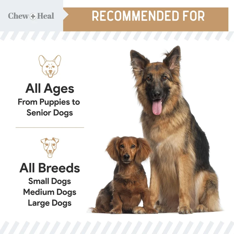 Chew + Heal Glucosamine Hip + Joint Peanut Butter Soft Chews For Dogs 90 Chews