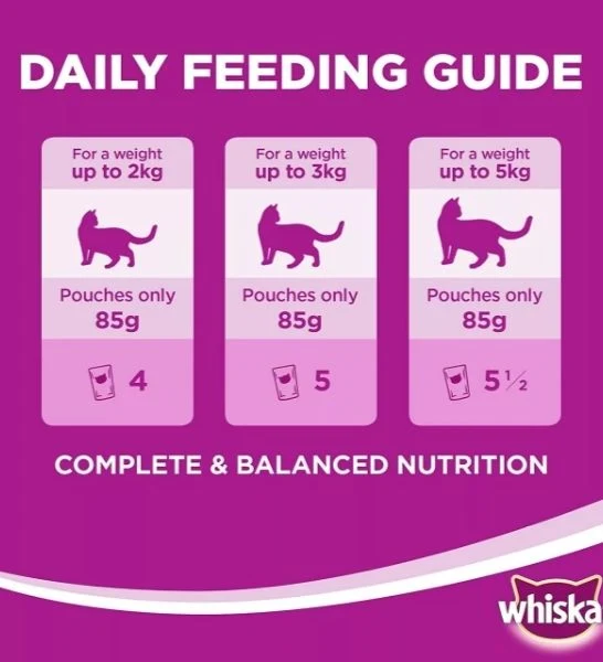 Whiskas Chicken in Gravy Wet Cat Food Value Pack 12x80g