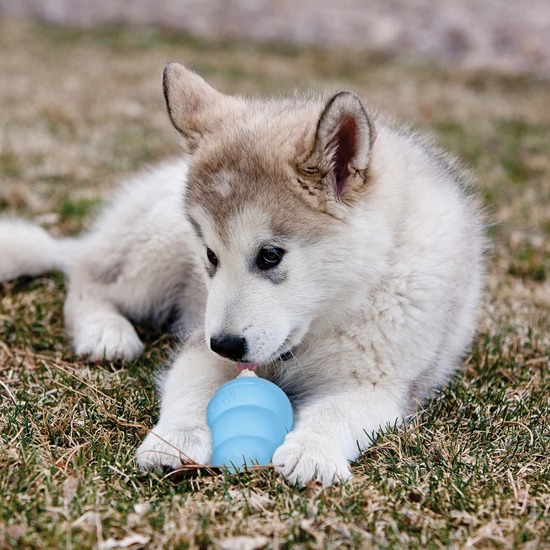 Kong Puppy Natural Teething Rubber Cone Chew Toy
