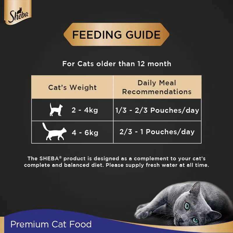 Sheba Fine Adult Wet Cat Food Pouch Chicken Premium Loaf 70G