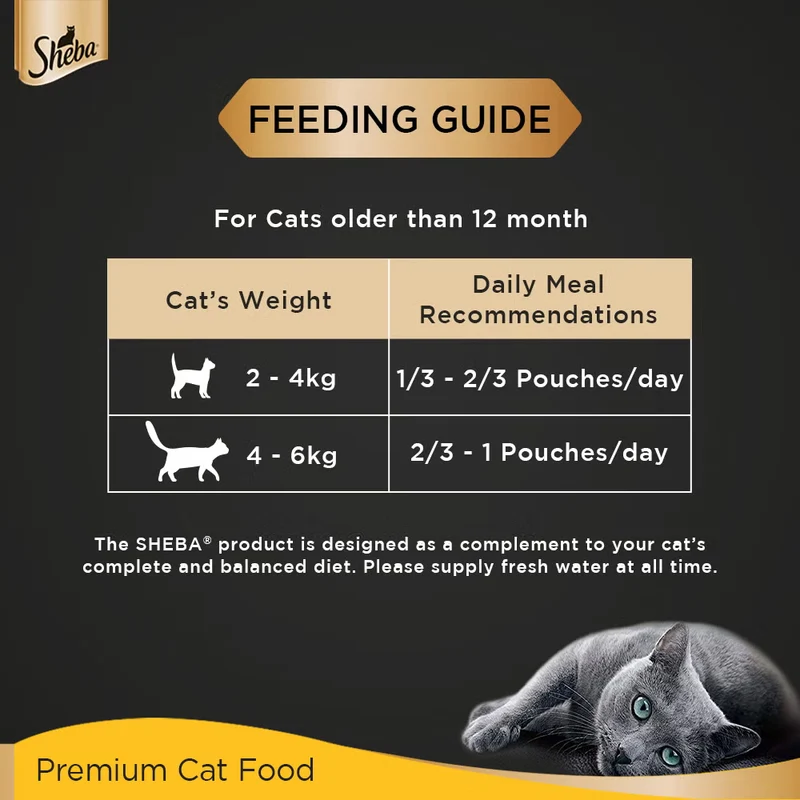 Sheba Fine Adult Wet Cat Food Pouch Tuna With Pumpkin & Carrot in Gravy 70G