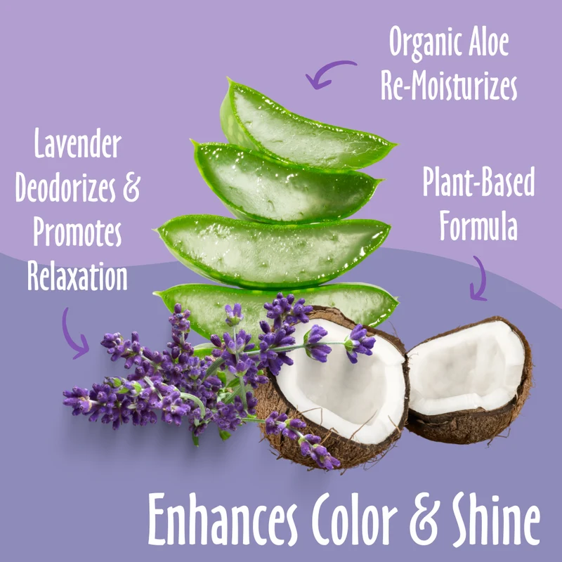 earthbath Coat Brightening Lavender Shampoo for Dogs & Cats 16OZ