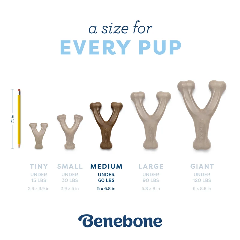 Benebone Puppy Wishbone Real Bacon Flavour Nylon Chew For Dogs Medium