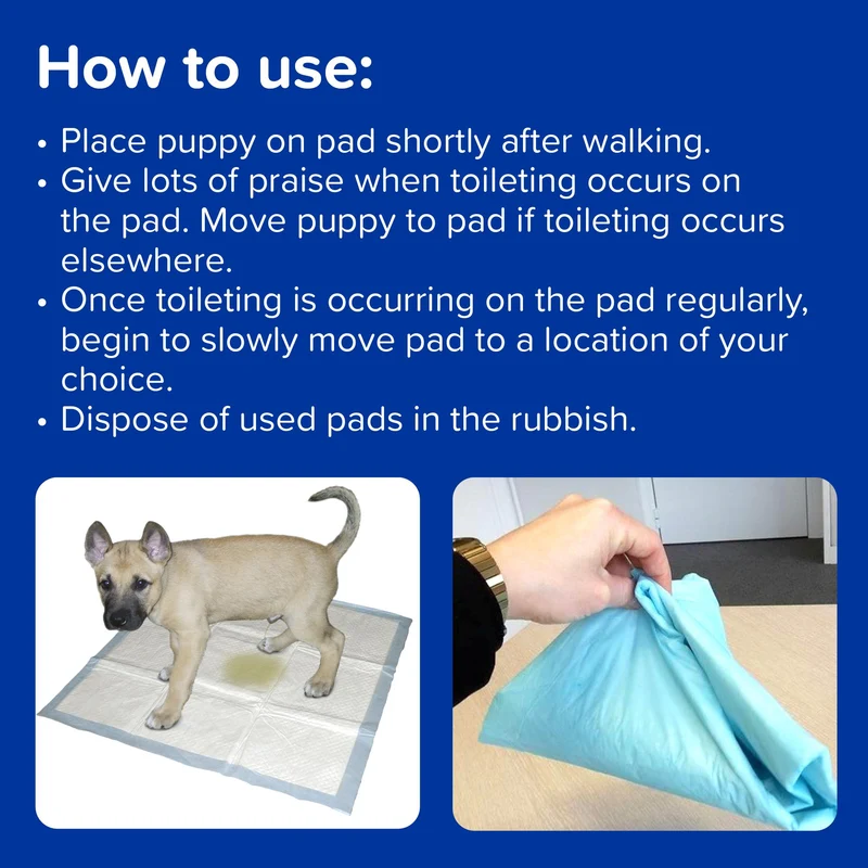 Beaphar Super Absorbent Puppy Training Pads for Dogs & Cats 60x60cm Pack of 7