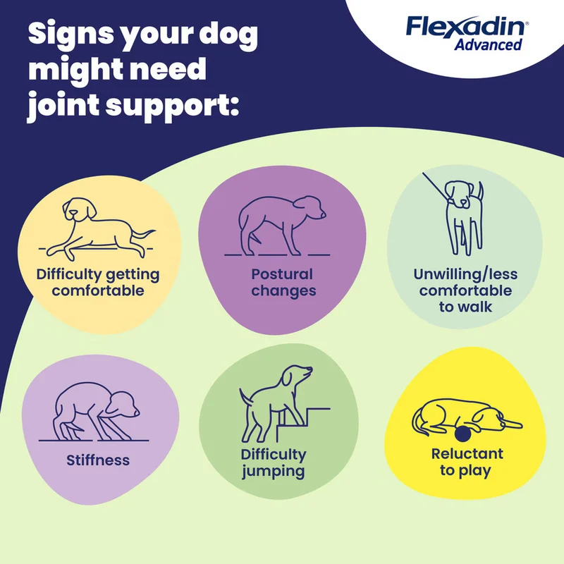 Vetoquinol Flexadin Advanced Joints Soft Chews Supplement For Dogs 30pcs