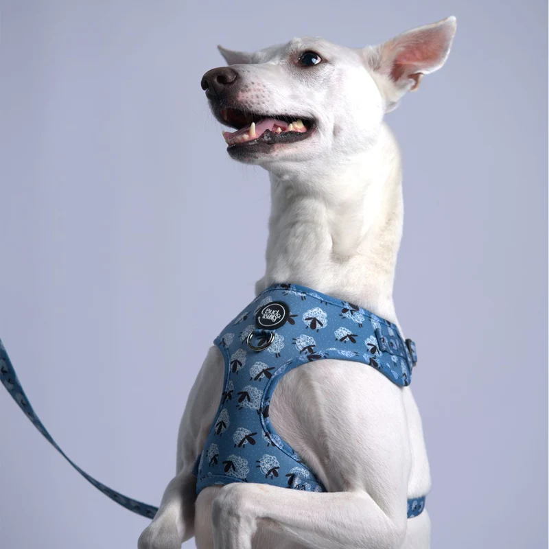 Bud & Billy Dog Harness Adjustable (XXS-XL) - Breathable Vest, Counting Sheep Collection, Blue & White
