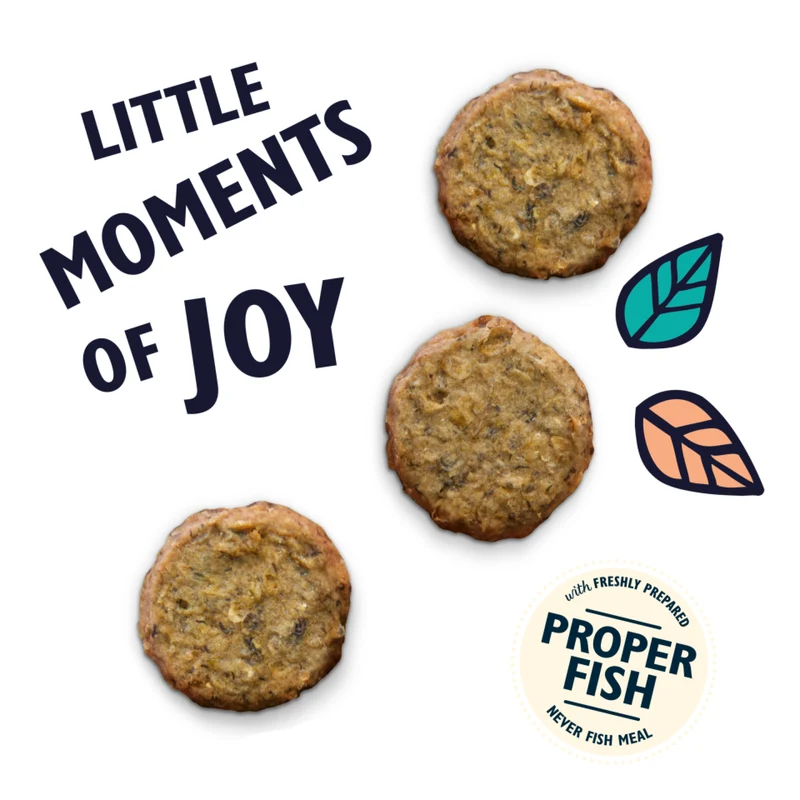 Lily's Kitchen Salmon Fishcakes With White Fish Adult Dog Treat 70G