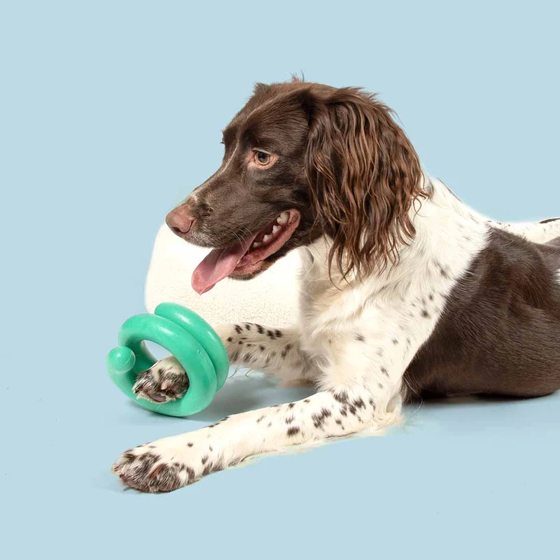 Ebi Coockoo Wiggle Flexible TPR Dog Chew & Fetch Toy - Green/12x11.7cm