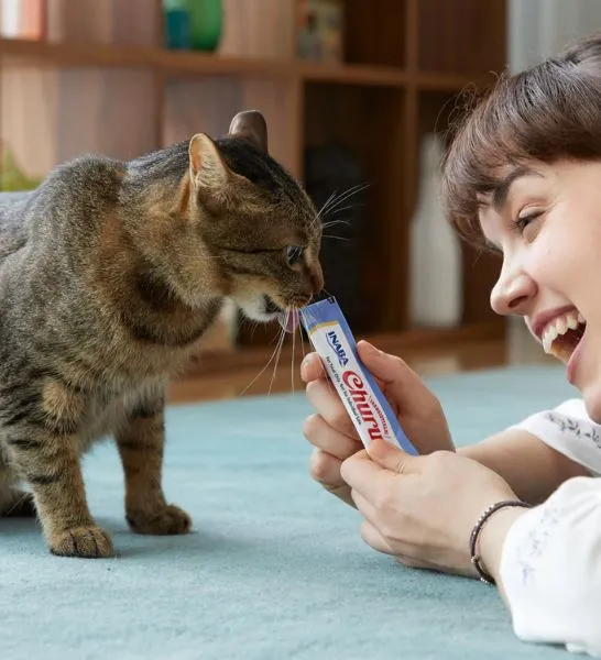 Inaba Churu Tuna Recipe for Kitten Treats 4x14g