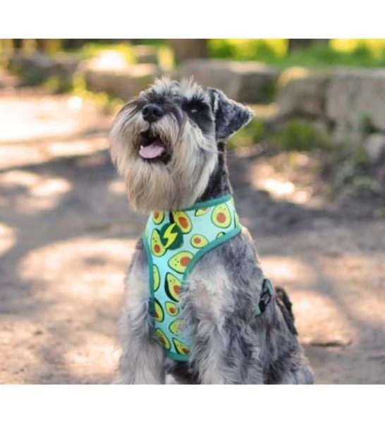 Dashi Avocado Neo Mesh Harness for Dogs