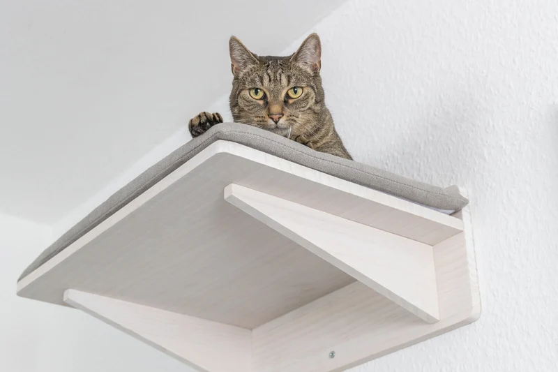 Trixie Cat Perch Platform With Cushion - Climbing Landscape 50x17x36cm