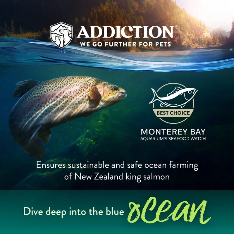 Addiction Salmon Bleu Skin & Coat Dry Cat Food 4LBS