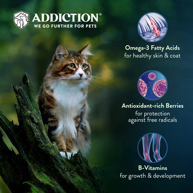 Addiction Salmon Bleu Skin & Coat Dry Cat Food 4LBS