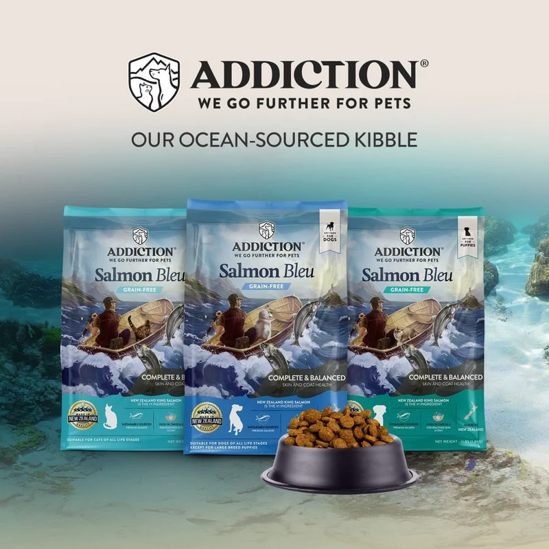 Addiction Salmon Bleu Skin & Coat Dry Cat Food 4LBS