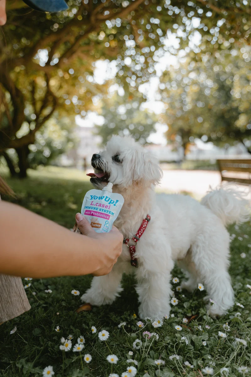 YowUp L.Casei Turkey Dog Wet Food Topper For Immune System 115g