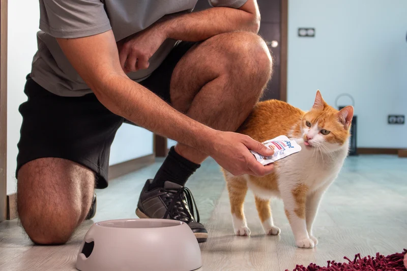YowUp L.Casei Turkey Cat Wet Food Topper For Immune System 85g