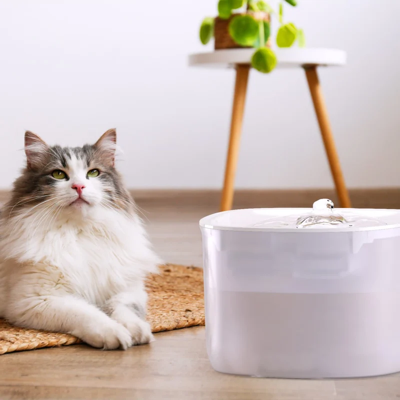 Petoneer WF005 Fresco EzGo Smart Cat Water Fountain W/ WiFi 2L