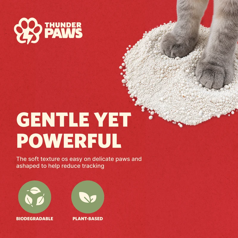 Thunder Paws Eco-Soft Cassava Unscented Clumping Cat Litter - 2.5KG