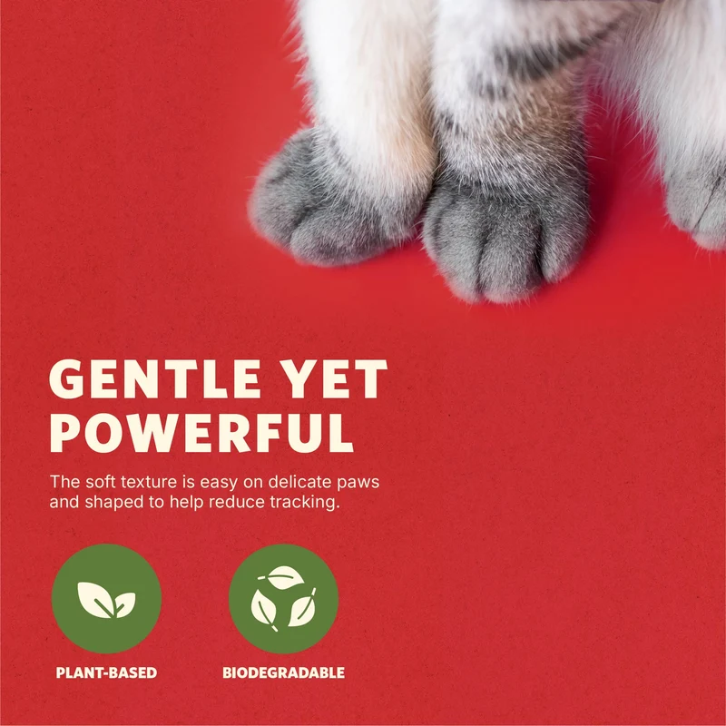 Thunder Paws Eco-Comfort Millet Unscented Clumping Cat Litter - 2.5KG