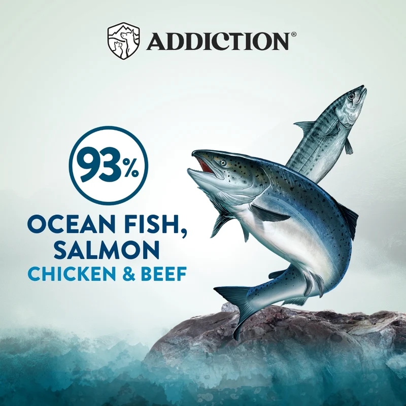 Addiction Wild Islands Pacific Catch Ocean Fish & Salmon Canned Cat Wet Food 185G