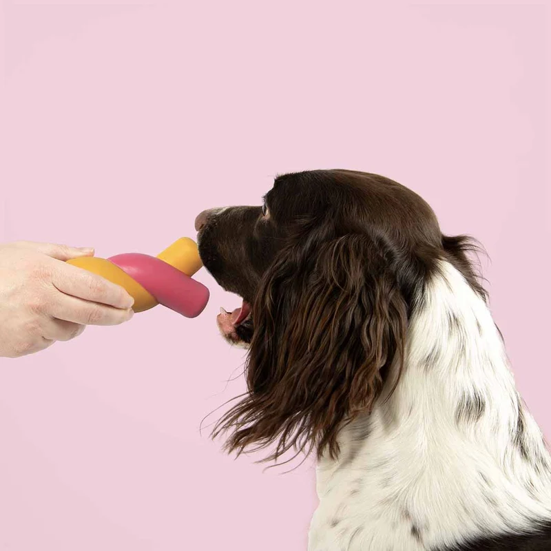 Ebi Coockoo Twisted S'Mores Dog Chew & Fetch Toy - Yellow & Pink/18.5x7.5x5.5cm