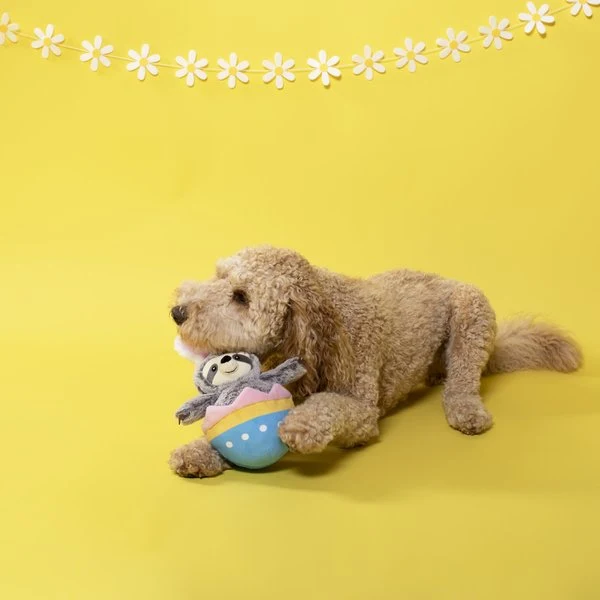 Petshop by Fringe Studio Eggstra Special Sloth Squeaker - Cuddly Plush Dog Toy 30cm