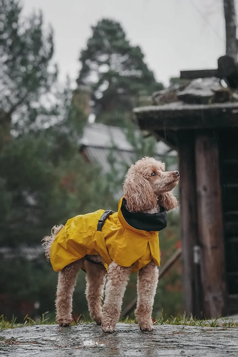 PAIKKA Raincoat Lite for Dogs - 100% Waterproof 40cm - Yellow