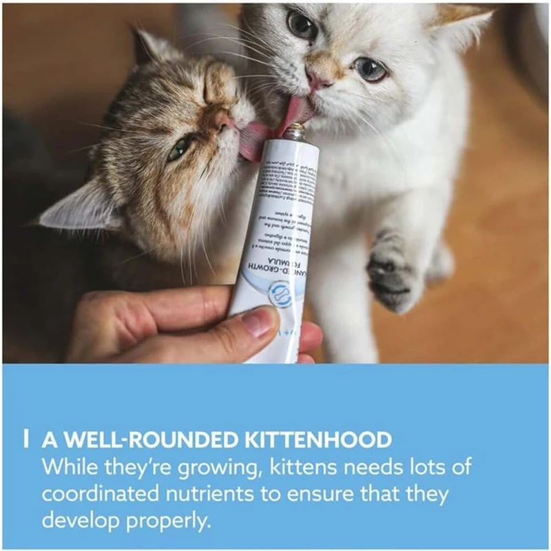 Gimborn Gimcat Vet Kitten Growth Food Supplement Paste 50G