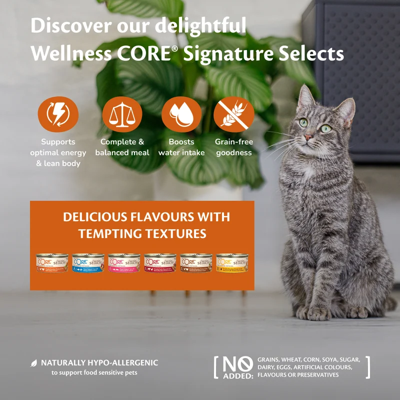 Wellness Core Signature Selects Flaked Skipjack Tuna & Salmon Entree in Broth Adult Wet Cat Food 79G