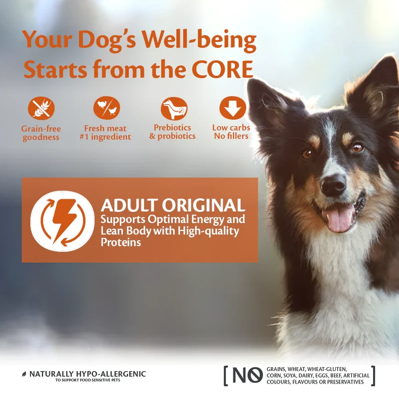 Wellness Core Adult Original Turkey With Chicken Recipe Dry Dog Food