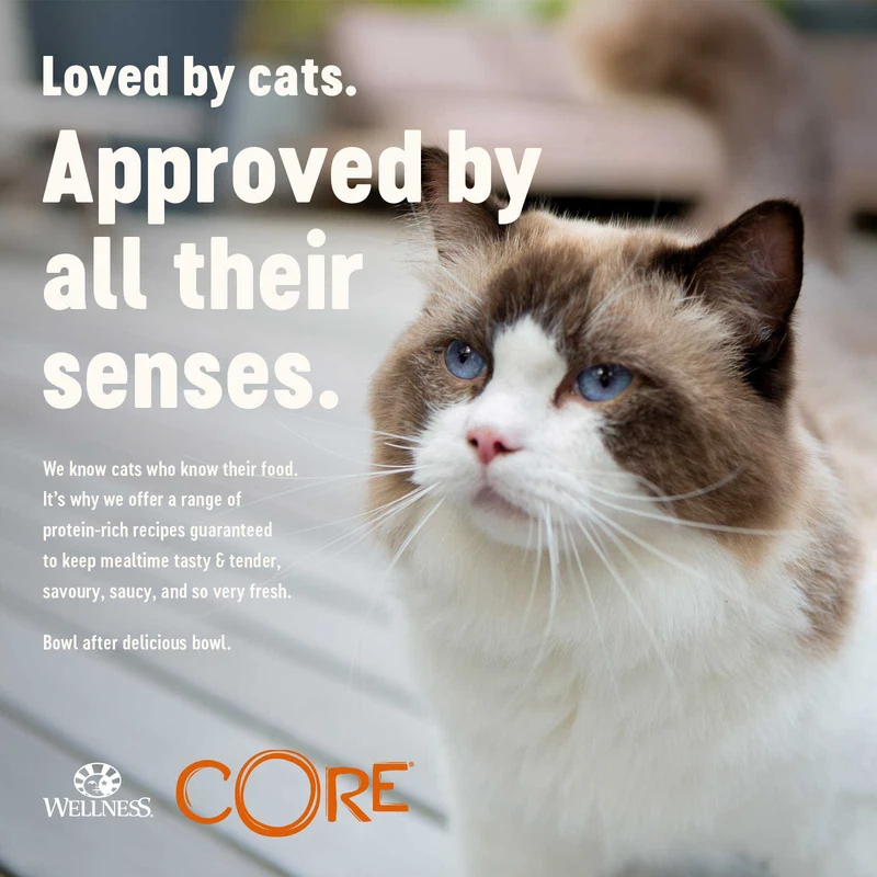Wellness Core Signature Selects Chunky Boneless Chicken & Turkey In Sauce Adult Wet Cat Food 79G