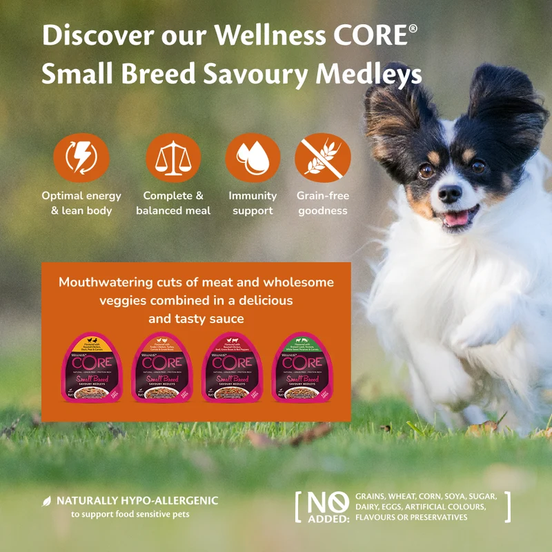 Wellness Core Small Breed Savoury Medley with Chicken, Duck, Peas & Carrots Adult Wet Dog Food 85g