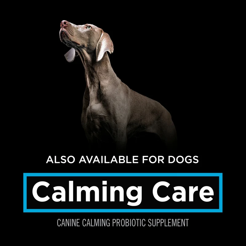 PURINA Pro Plan Veterinary Supplements Calming Care Cat Probiotic Anxiety Supplements 30X1G