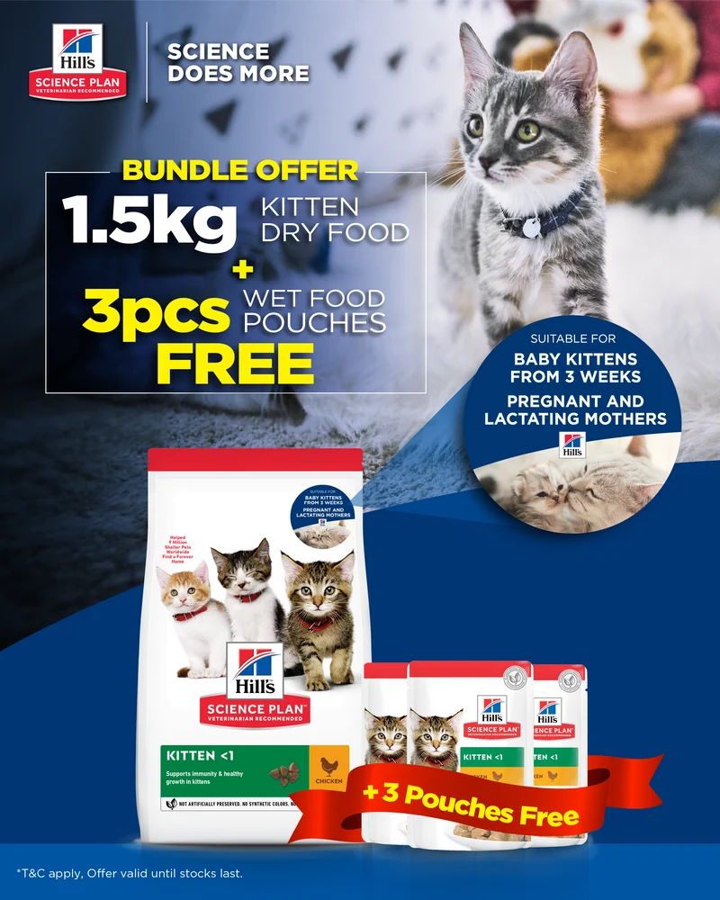 Hill's Science Plan Kitten Dry Cat Food With Chicken 1.5KG + 3pcs Feline Kitten Wet Cat Food In Pouches With Chicken 85G - Bundle