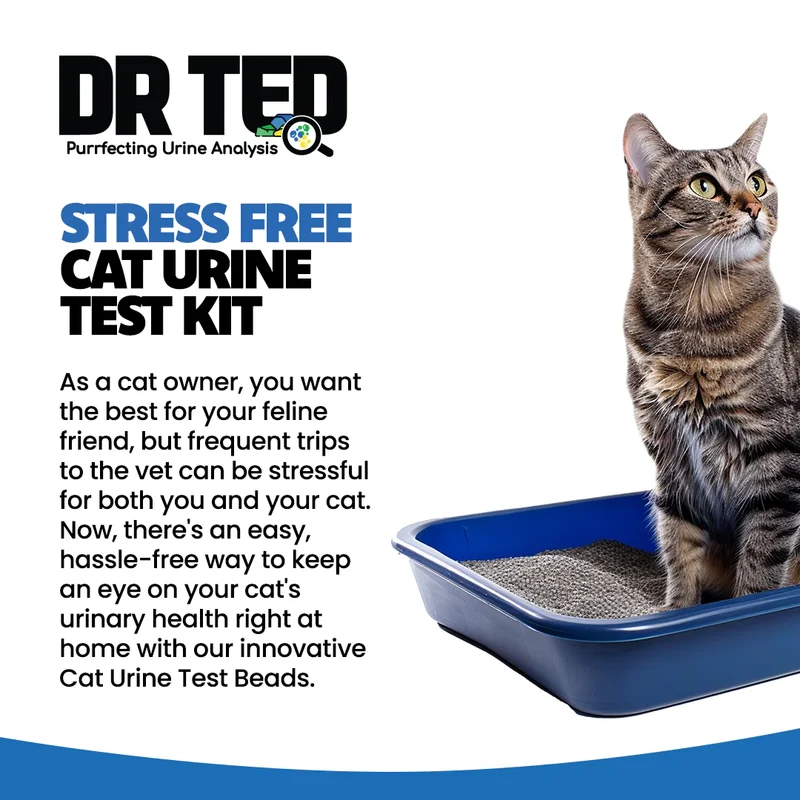 DR TED Cat Urine Test Kit for Hematuria/Blood 10g