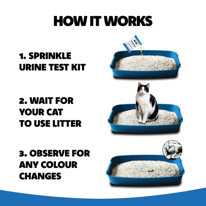 DR TED Cat Urine Test Kit for Hematuria/Blood 10g